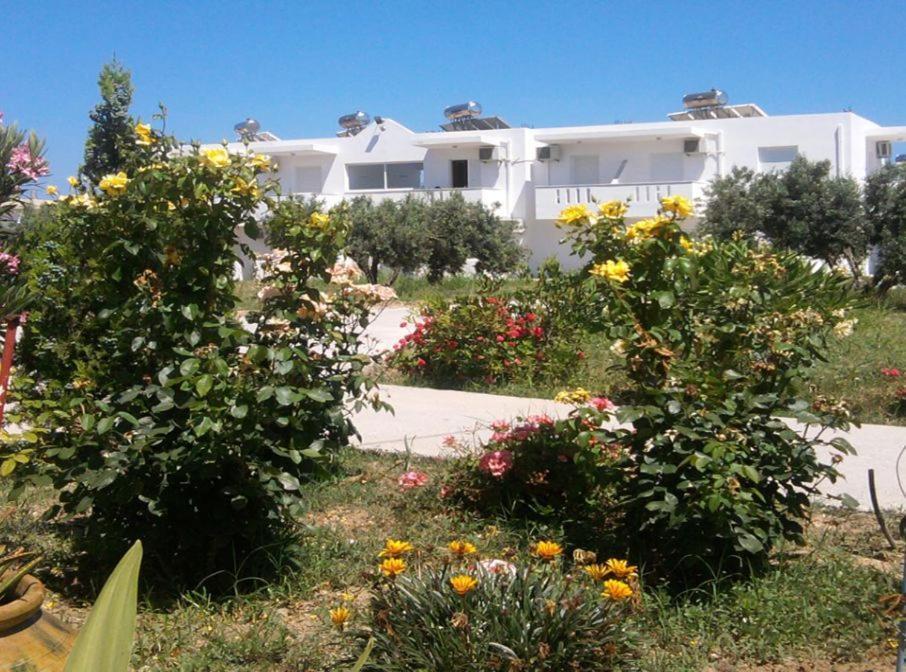 Kardamena  Nikos 2 Studios & Apartments חדר תמונה